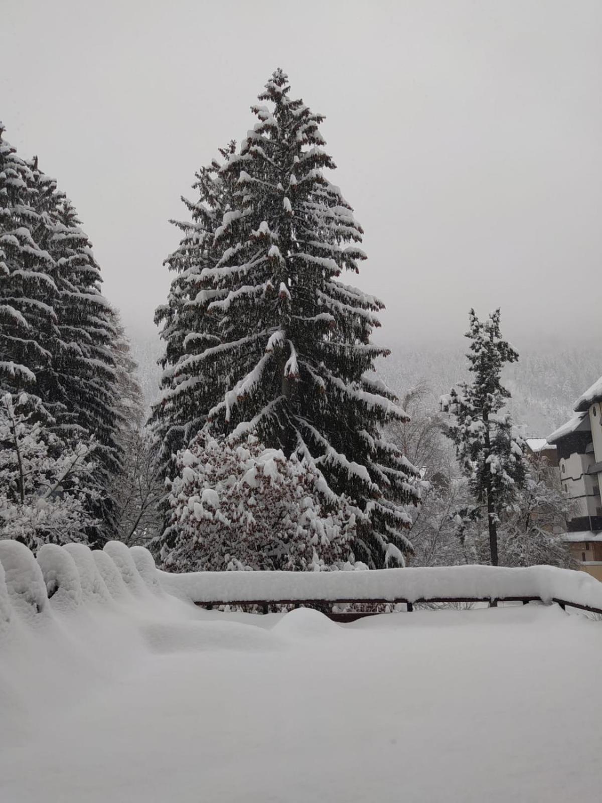 Mont Blanc View Chamonix Apartment المظهر الخارجي الصورة