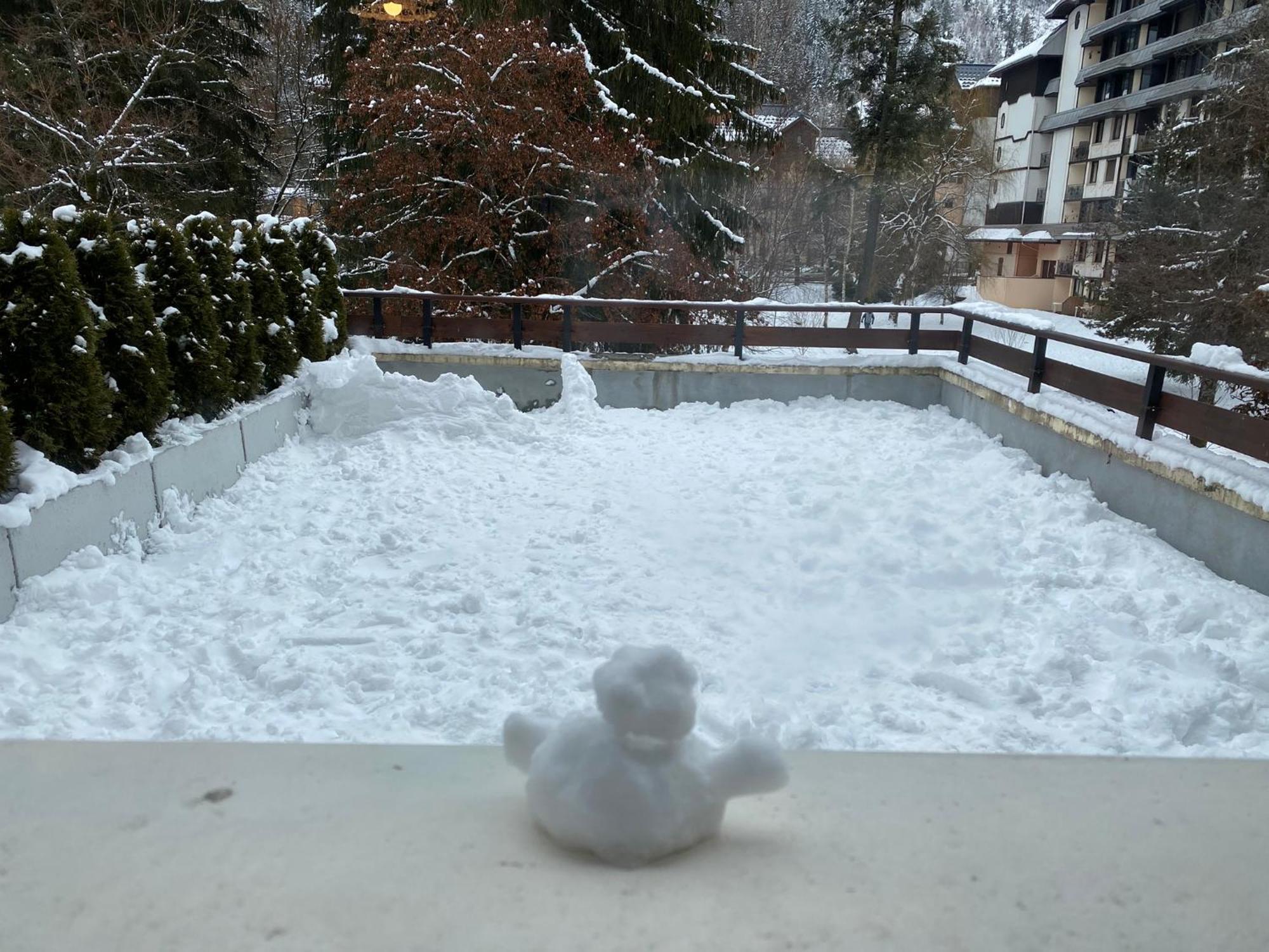 Mont Blanc View Chamonix Apartment المظهر الخارجي الصورة